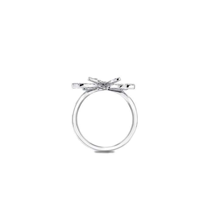 Fine-Ring03214_05